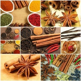 Der Widder mag es scharf